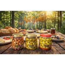 Volkan Güneş Akhisar’ın En Sevilen 3 Zeytin Çeşidi Tek Pakette. – Izgara, Biber Dolgulu Vepemb Çizik N&tgusto