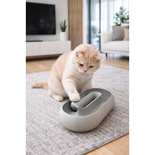 Toplu Oval Evcil Hayvan Kedi Oyuncağı, Kedi Zeka Oyunu