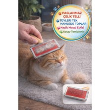 Toyfest Ahşap Saplı Kedi Köpek Tarağı Paslanmaz Çelik Tüy Toplama Fırçası Kolay Temizlenir 11X8 cm