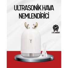 Astraltech El Tipi USB Mini Soğuk Mist Nemlendirici 220 ML Tank