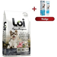 Loi Mini Irk Yetişkin Köpek Kuzulu 15KG