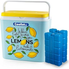 CLB24LM Limon Desenli Buzluk, 24 Litre + 2 Adet Buz Kaseti, 400GR
