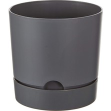 Begonya 15, 1.8 Litre