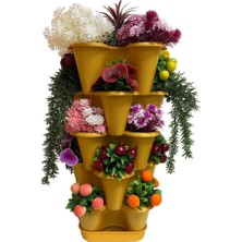 Katlı Şanslı Yonca Kule Saksı Seti Çiçek Bitki Sebze Meyve Salon Mutfak Banyo Bahçe Saksı Seti (Altın)