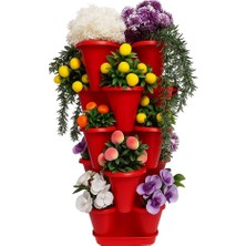 Katlı Şanslı Yonca Kule Saksı Seti Çiçek Bitki Sebze Meyve Salon Mutfak Banyo Bahçe Saksı Seti (Kırmızı)