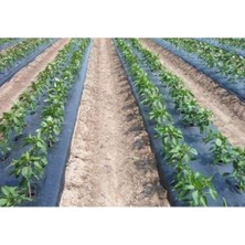 Sebze Naylonu 10 Metre Eni 120 cm Malç Naylonu Sebze Örtüsü Malç Örtüsü Siyah Domates Karpuz Naylonu