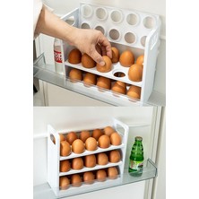 Yumurtalık Buzdolabı Raf Düzenleyici 30'lu Yumurta Kutusu