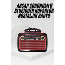 Najmaddin Nostalji Radyo Bluetooth Hoparlör Usb-Sd Kart Giriş LED Fener Işıklı Bataryalı Pilli