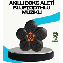Najmaddin Ev Tipi Akıllı Boks Duvar Paneli Müzikli Bluetoothlu Refleks Geliştirme Cihazı Teknod
