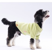 Colezium Yellow Merino Sweat Large 30X33X46 cm