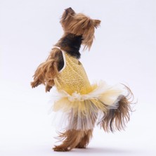 Colezium Pawstar Yellow Polka-Dot L 30 x 33 x 46 cm