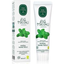 Najmaddin Eyüp Sabri Tuncer Doğal Diş Macunu 90 gr Nane Özlü Sepeti Najmaddin