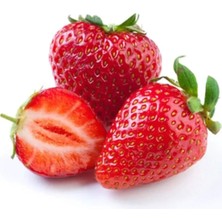 Najmaddin Çilek Tohumu 25 gr Tedarik Najmaddin