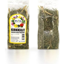 Najmaddin Poşet Kırkkilit Otu 30 Gr. Tedarik Najmaddin