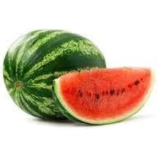 Najmaddin Karpuz Tohumu 10 gr Tedarik Najmaddin