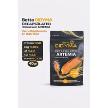 Betta Didyma Decapsulated (Kabuksuz) Artemia 40GR Kullanıma Hazır