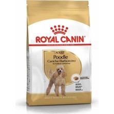 Royal Canin Poodle Yetişkin Köpek Maması 3 kg Tavuk Protein Kaynağı ile Özel Formül