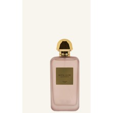 DeFacto Kadın Fruity - Spicy 50 ml Parfüm H0872AXNS
