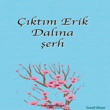 Çıktım Erik Dalına Şerh