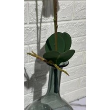 Green Eye Yapay Islak Beyaz Yapraklı 2'li Orkide 65 cm