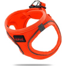 Lepus Göğüs Yeleği Turuncu (Xs)