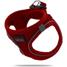 Lepus Göğüs Yeleği Kırmızı (S)