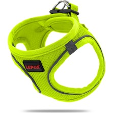 Lepus Göğüs Yeleği Sarı (Xs)
