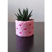 Lotus Home Kapitone Desenli Dekoratif Saksı – Modern Bitki & Masa Üstü Organizer