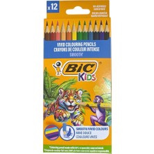 Bic Kids Smooth Kuruboya 12 Renk 8772