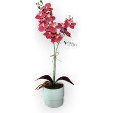 Yapay Çiçekçiniz Modern Tasarım Beyaz Renkli Saksıda 2 Dallı Yapay Islak Orkide 50 cm