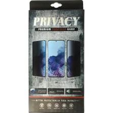 12 Pro 34D Hayalet Izgaralı Cam