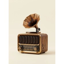 Çadır Dünyası Nostaljik Gramofon Radyo - Retro Ahşap Tasarım, Bluetooth Bağlantılı, USB ve Tf Kart Girişli, Fm/am/sw Profesyonel Ses Sistemi