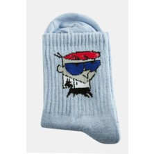 LTG Nova Çzgflm Kolej Çorap 8*28