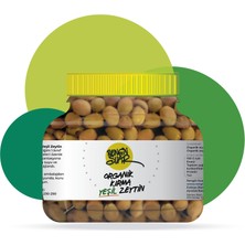 Rengin Suar Organik Yeşil Kırma Zeytin (1200G) - 2025