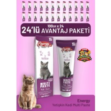 Cat food energy Yetişkin Kedi Multi Paste 100 G - 24 Adet