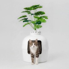 Missidea Dekoratif Kedi Tuvaleti Beyaz Koku Filtresi ve Ergonomik Yapı ile Konforlu Kullanım