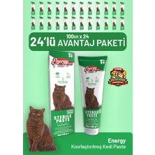 Cat food energy Kısırlaştırılmış Kedi Paste 100 G - 24 Adet