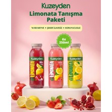 Kuzeyden Limonata Tanışma Paketi | 6X250ML | Ilave Şeker, Katkı ve Koruyucu Madde Içermez | %100 Meyve