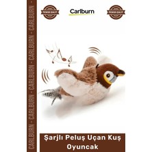 Carlburn #petshop Kedi Avcılık Içgüdüsü Tetikleyici Kanat Çırpan Sesli USB Şarjlı Ipli Peluş Uçan Kuş Oyuncak