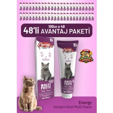 Cat food energy Yetişkin Kedi Multi Paste 100 G - 48 Adet