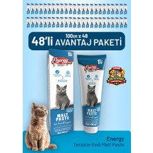 Cat food energy Yetişkin Kedi Malt Paste 100 G - 48 Adet