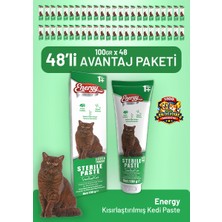 Cat food energy Kısırlaştırılmış Kedi Paste 100 G - 48 Adet