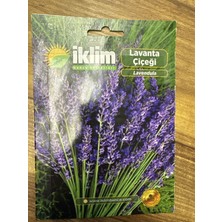 Sekoya Lavanta Çiçeği Tohumu Paket