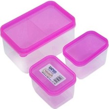 Abnturk Urve Üçlü Bölmeli Saklama Kabı 3 Parça Iki Tane 8X6X3H cm 1 Tane 13X10X5H cm