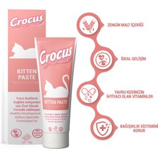 Muratech Crocus  Kitten Malt Macunu 100 Gram
