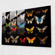 Popcasso Canlı Simetri ile Kurutulmuş Kelebekler Cam Duvar Tablosu - Modern Sanat Stilinde Dekoratif Parça