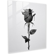Popcasso Minimalist Siyah Gül Temperli Cam Tablo - Modern Sanat Teması