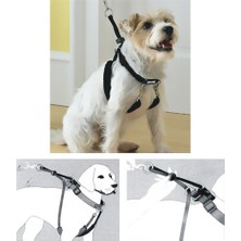 Muratech Pawise Dog Training Xs (34"x9-12") Eğitim Tasması