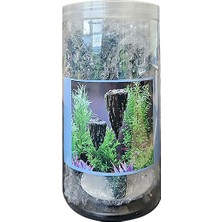 Chicos Muratech Atar Kaya Yüzen Dekor M Boy 11 x 7 x 6 cm