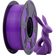 Rhinolab Petg High Speed (Hs) Filament - Purple